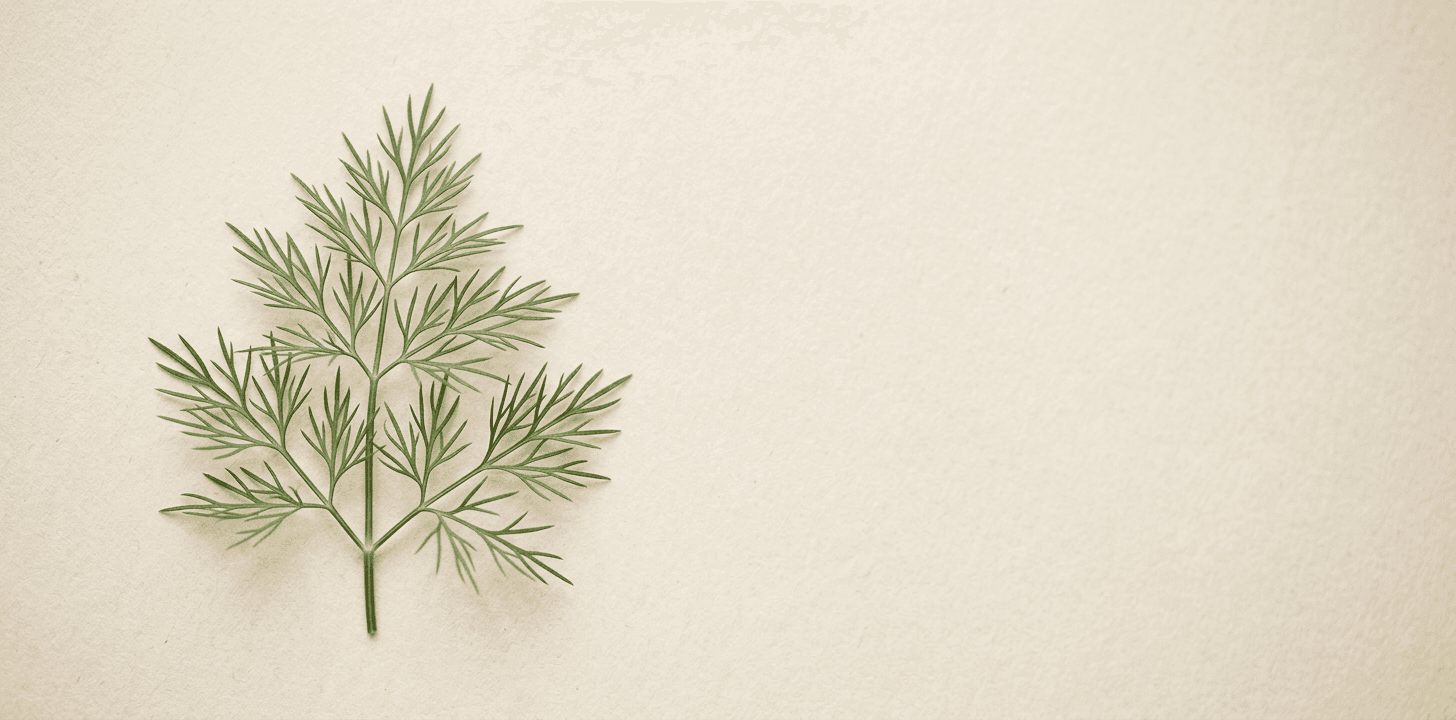 Botanisk trädgårdsbild