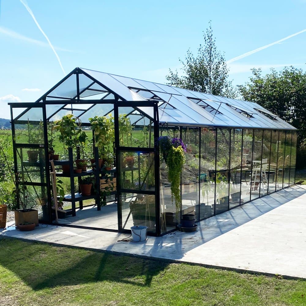 Glasväxthus 19m² | 5 års stormgaranti | 4mm säkerhetsglas