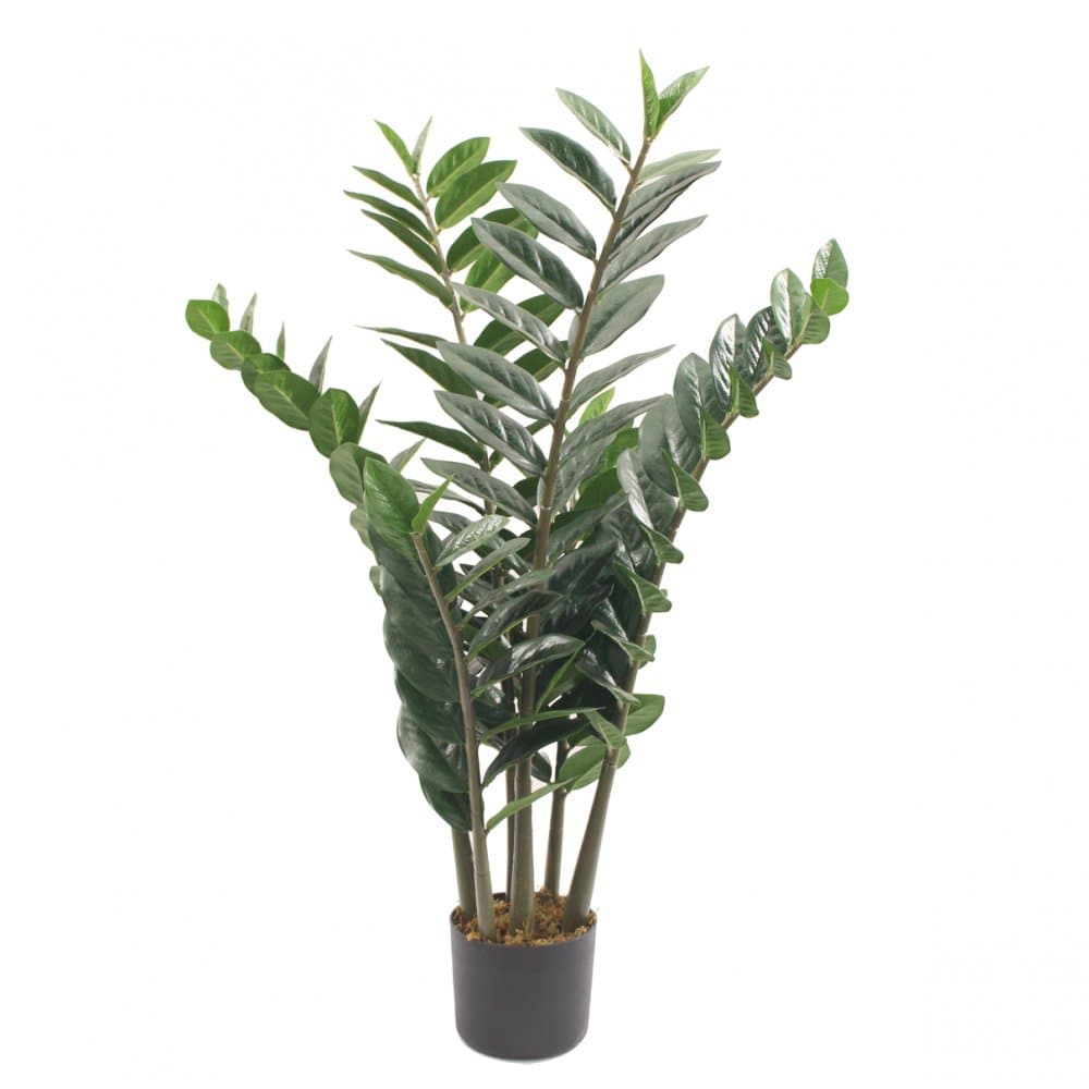 Konstväxt zansibar/garderobsblomma | 90 cm