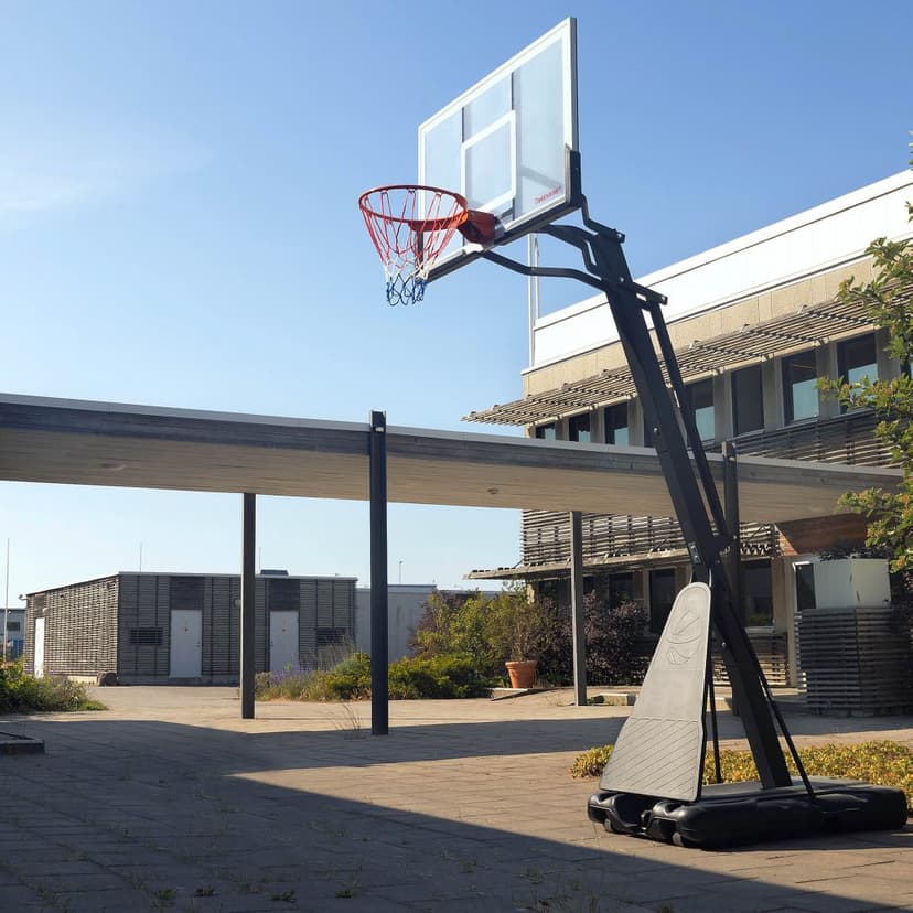 Basketkorg med ställning | Premiummodell | Slammer
