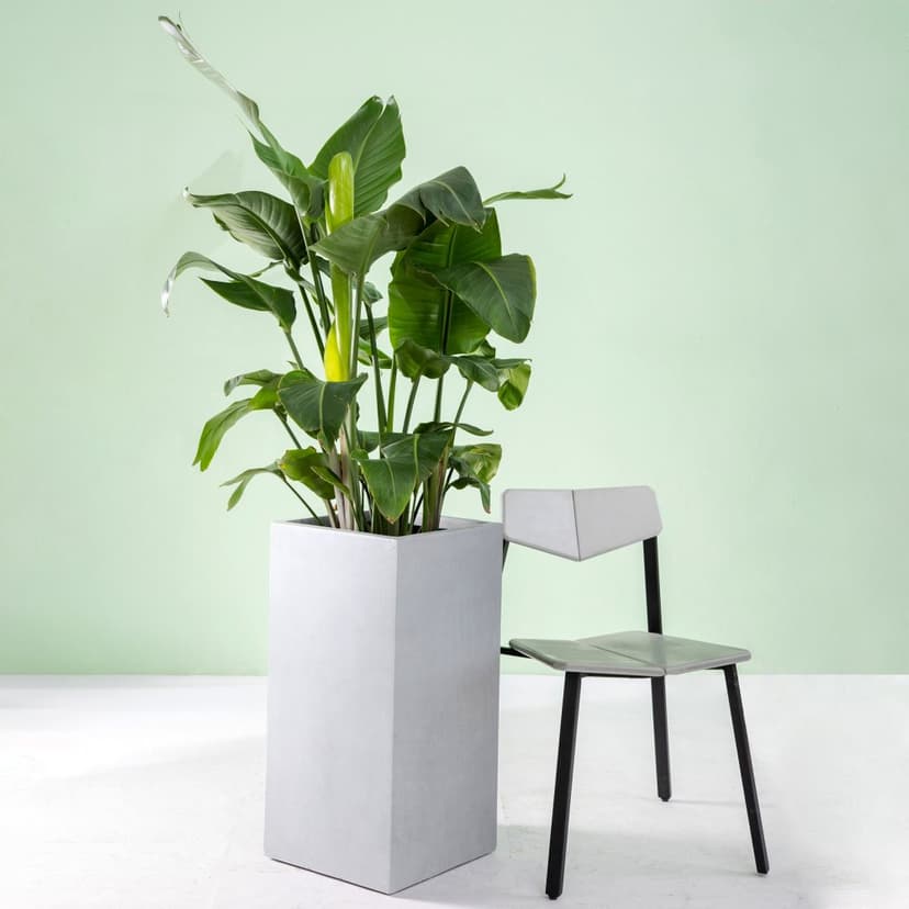 Fiberarmerad utekruka | Hög modell | 55cm | Ljusgrå