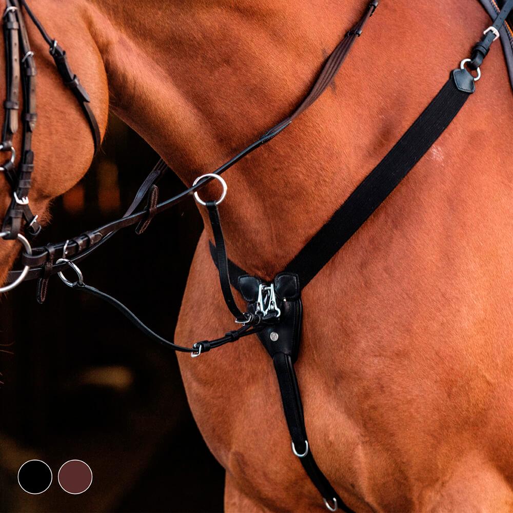 Häst & Ryttare - Hästutrustning - Träns & Tillbehör - Förbygel