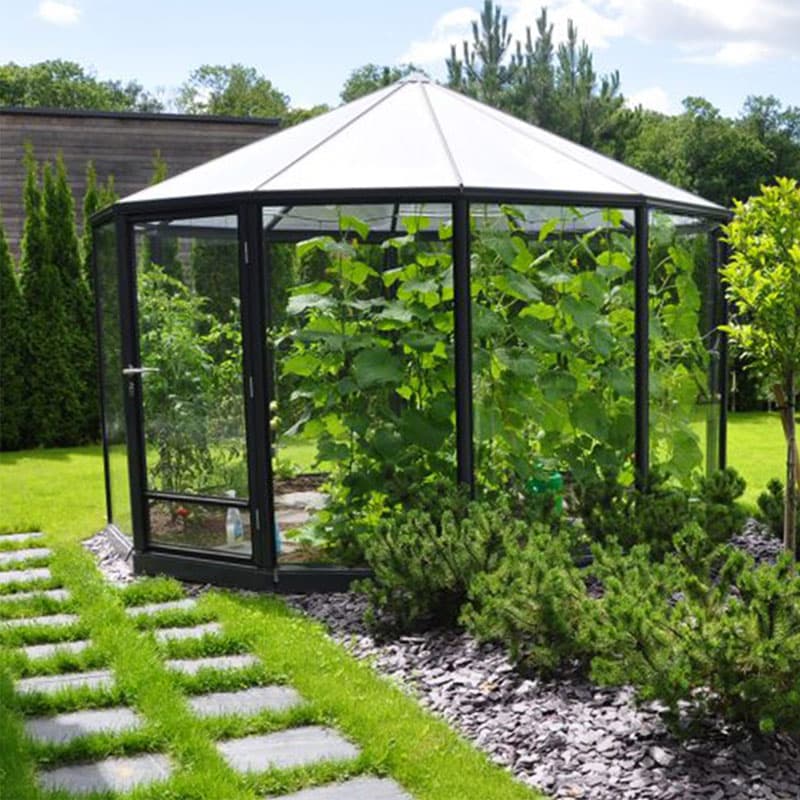 Ringo 7,6 kvm Glas, lackerat, Fyrkantigt växthus, 7,6 kvm, Glas, Aluminiumstomme,