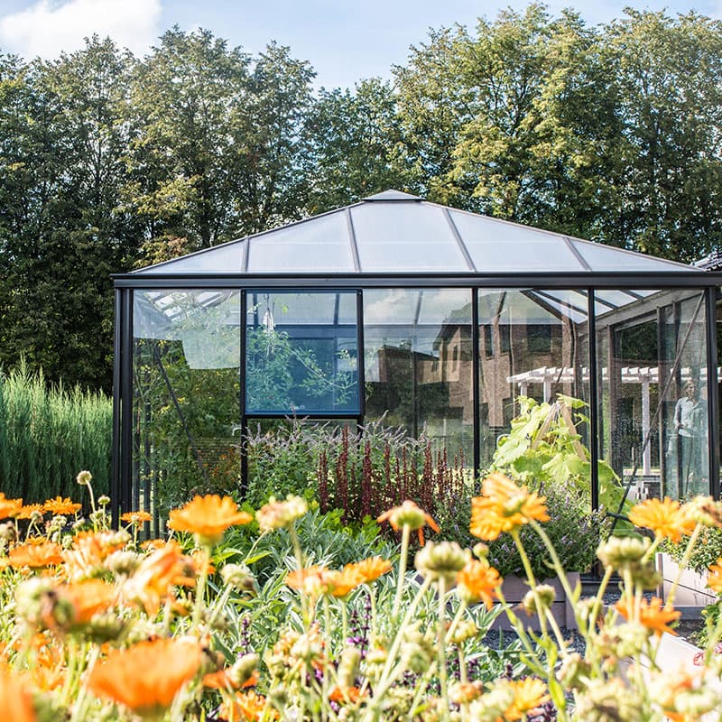 Tetra 14,4 kvm, lackerat, Fyrkantigt växthus, 14,4 kvm, Lackerad stålram, Ventilationsfönster