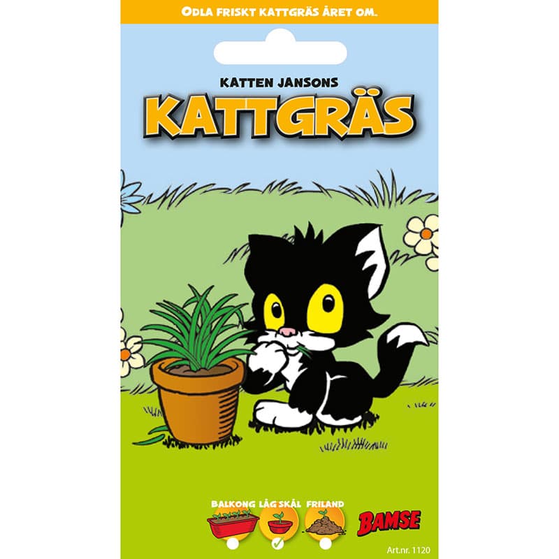 Bamse Kattgräs, ca. 200 frön, räcker till 4-5 krukor, lättodlad, inomhus, groningstid 4-5 dagar.