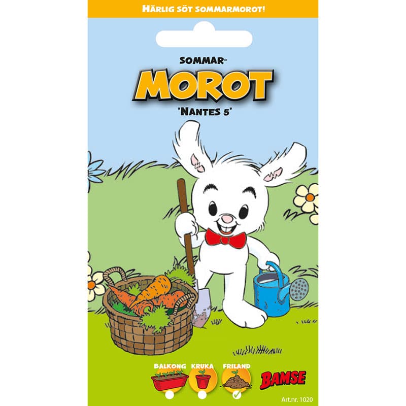 Bamse Sommarmorot 'Nantes 5', orange, 15-20 cm långa, trubbig spets, 1.600 frön.