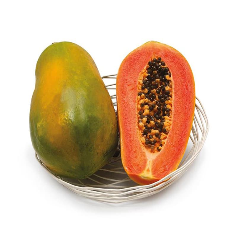 Papaya Sunnybees 3-pack, tropisk dekorativ snabbväxande ger frukt i varma lägen