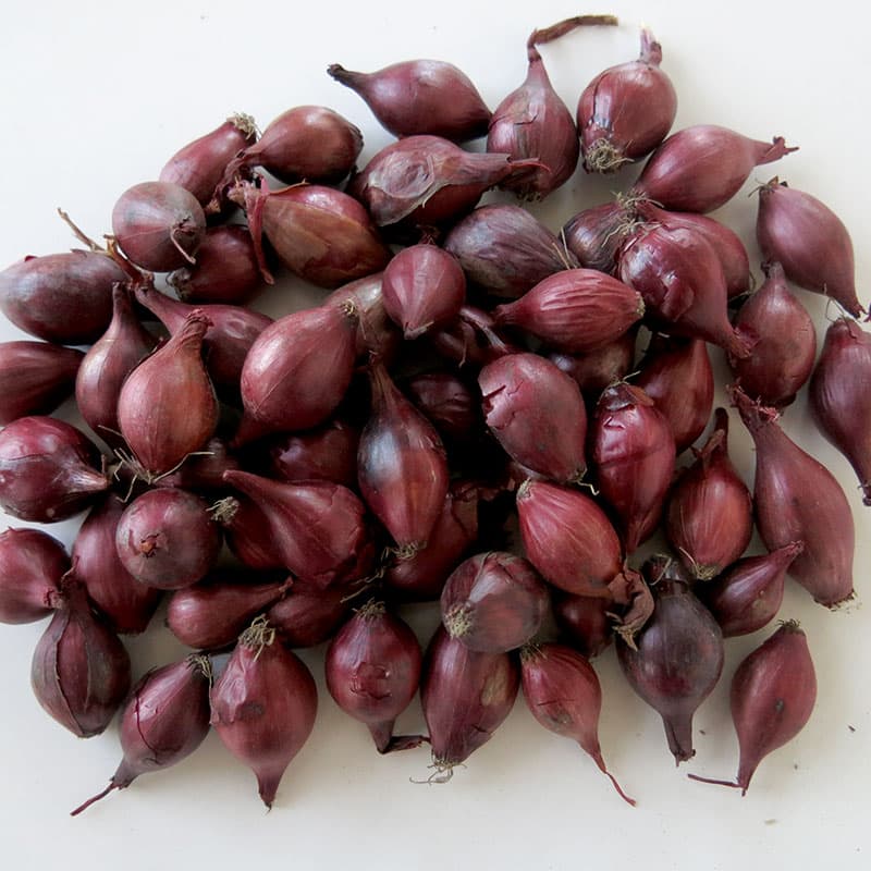Sättlök 'Red Baron', 250 g röd lök med bra skal god lagring och jämn färg