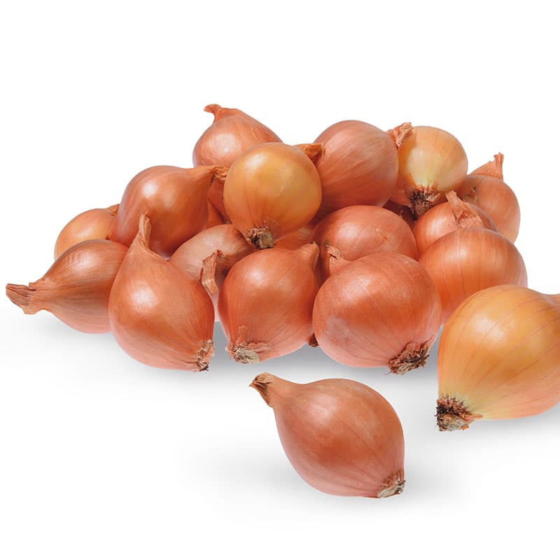 Schalottenlök 'Yellow Moon', 250 g gul rund schalottenlök starkt skal lagringsbar