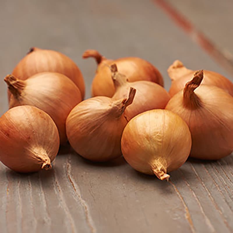 Schalottenlök 'Golden Gourmet', 250 gram, gul färg, lökstorlek 7/14, värmebehandlad.