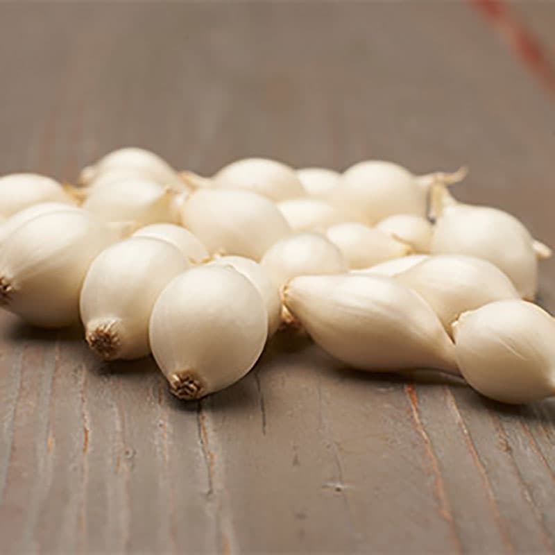 Silverlök 'Snowball', 250 gram, lökstorlek 8/21, ej för lagring, värmebehandlad.