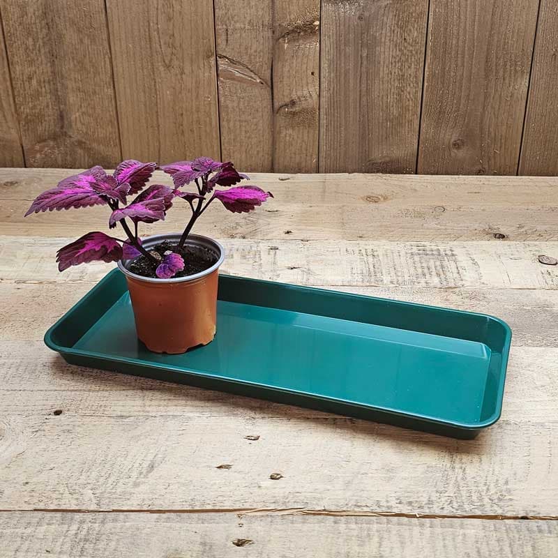 Bricka till fönsterbrädan, grön, 35x15 cm, plast, för fönsterbräda, hållbar, 1 st.