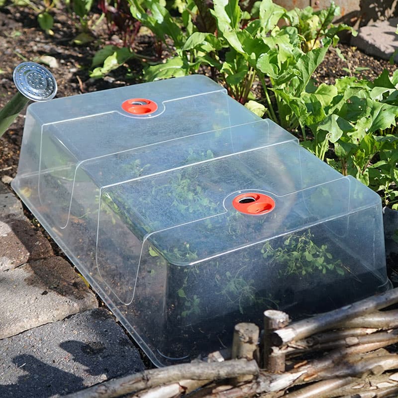 Kupa till minidrivhus, XL, 57,5 x 39 x 15 cm, kristallklar plast, justerbara ventiler, skyddar mot skadedjur.