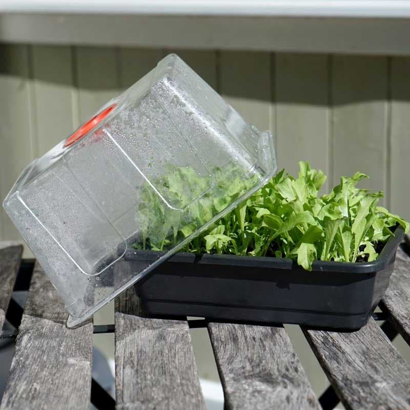 Minidrivhus, svart, 23x17x18 cm, återvunnen plast, justerbar ventilation, utan hål.