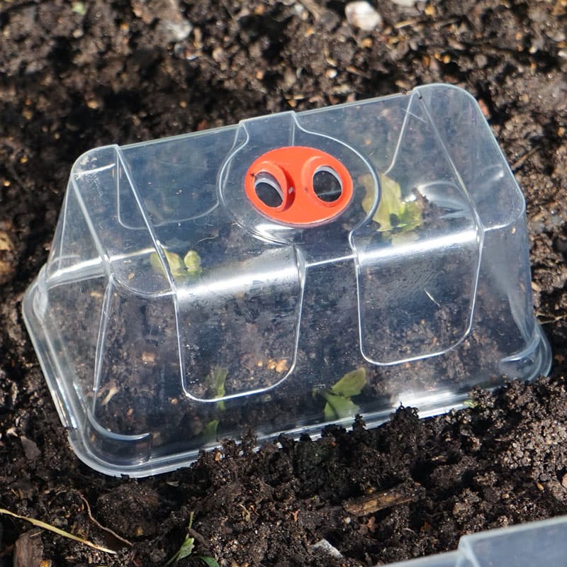 Kupa till minidrivhus, extra hög, L16,5 x B9,5 x H7 cm, klar plast, vridbar ventilation, 1 st.