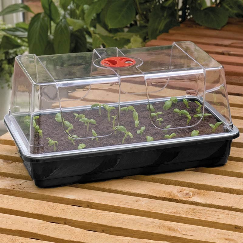 Minidrivhus, svart, 37,5x23x18 cm, återvunnen plast, justerbar ventilation, utan hål.