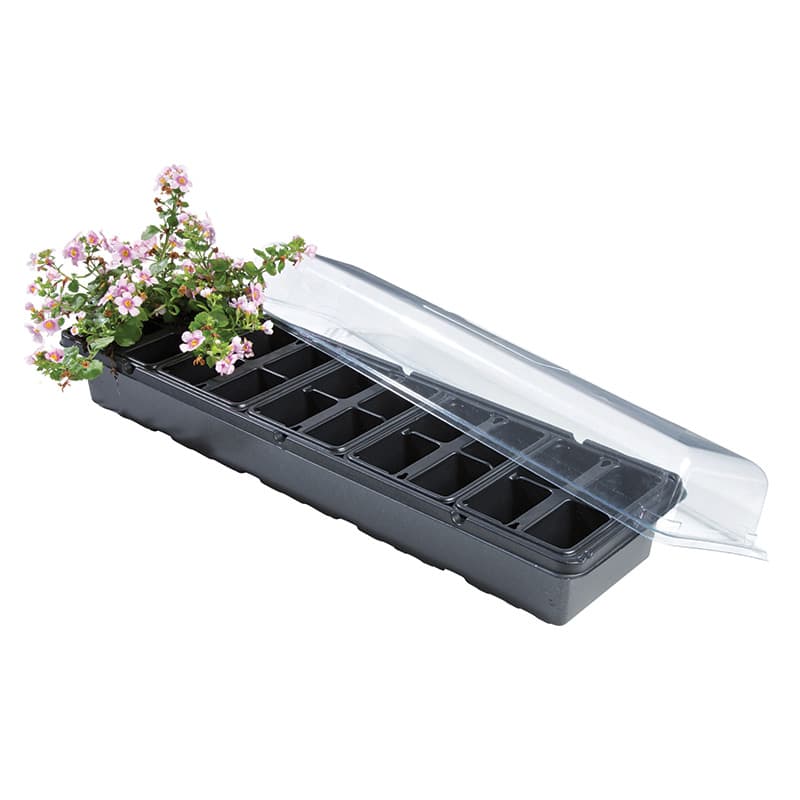 Miniväxthus för fönsterbrädan, svart plast, 54x15 cm, 1 underdel, 5 brätten med 4 krukor, genomskinligt lock.