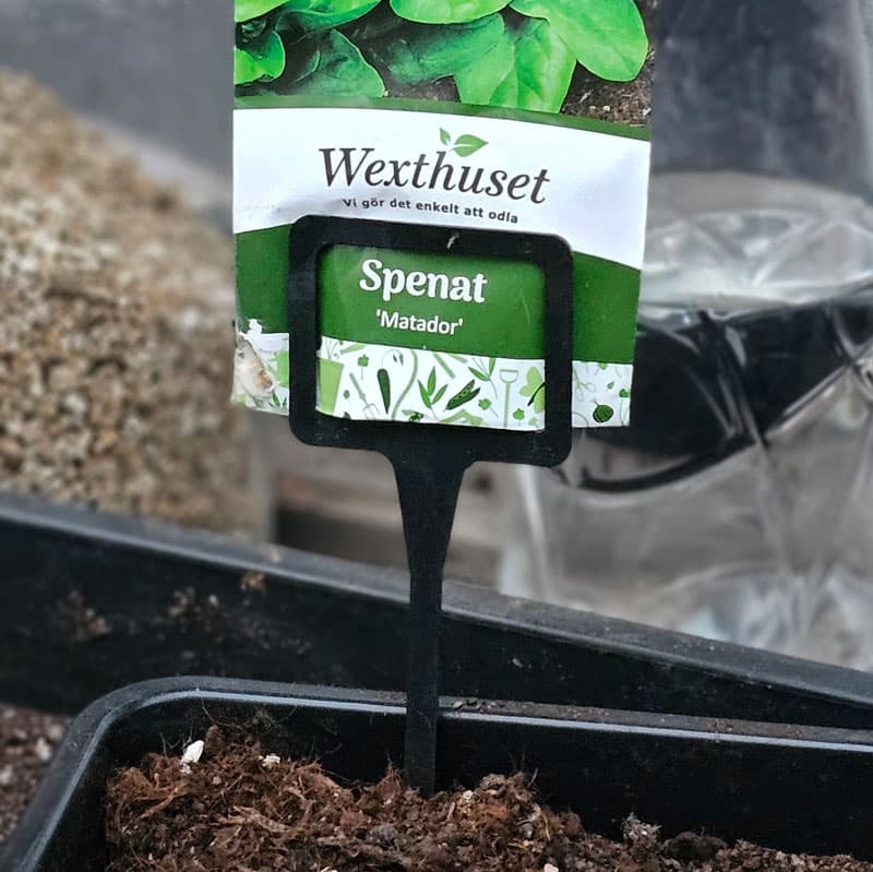 Plantetiketter med hållare, svart, 10 stycken, för fröer och växter, hållbara, lämpliga för märkning.