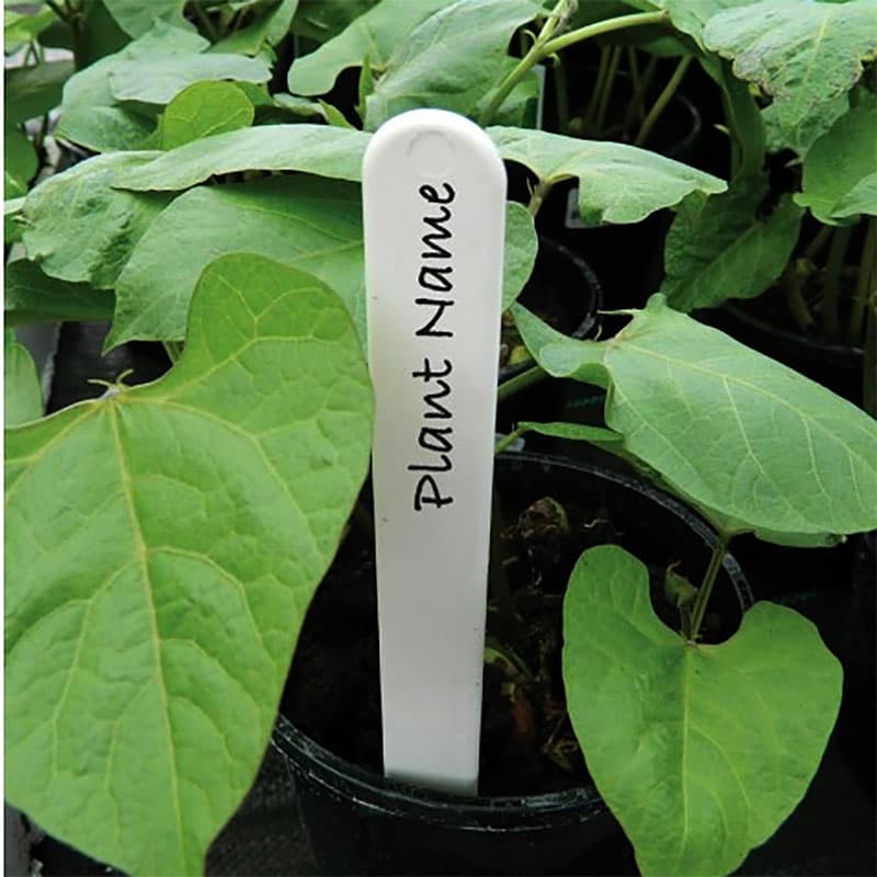 Plantetikett vit 13 cm, plast, 30-pack, för frösådder och växter, kan tryckas ner eller knytas fast.