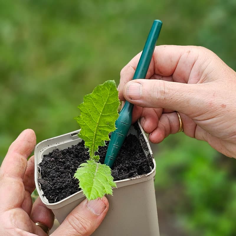 Ett praktiskt hjälpmedel vid skolning och plantering av sticklingar och frösådder.