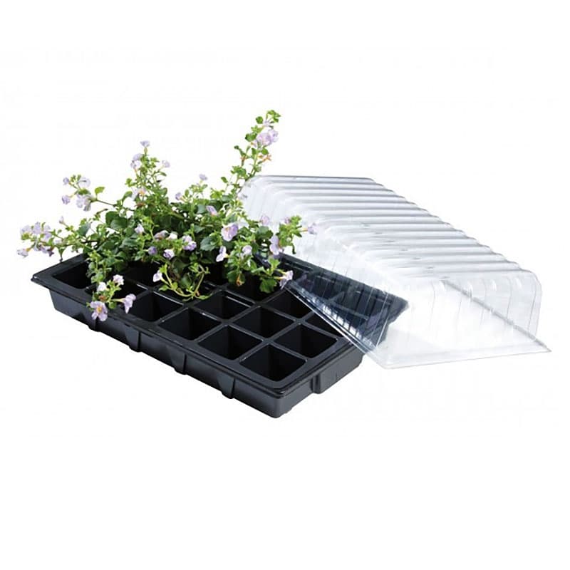 Propagator-set, 38x24x9 cm, återvunnen plast, 24 celler för fröplantor och sticklingar.
