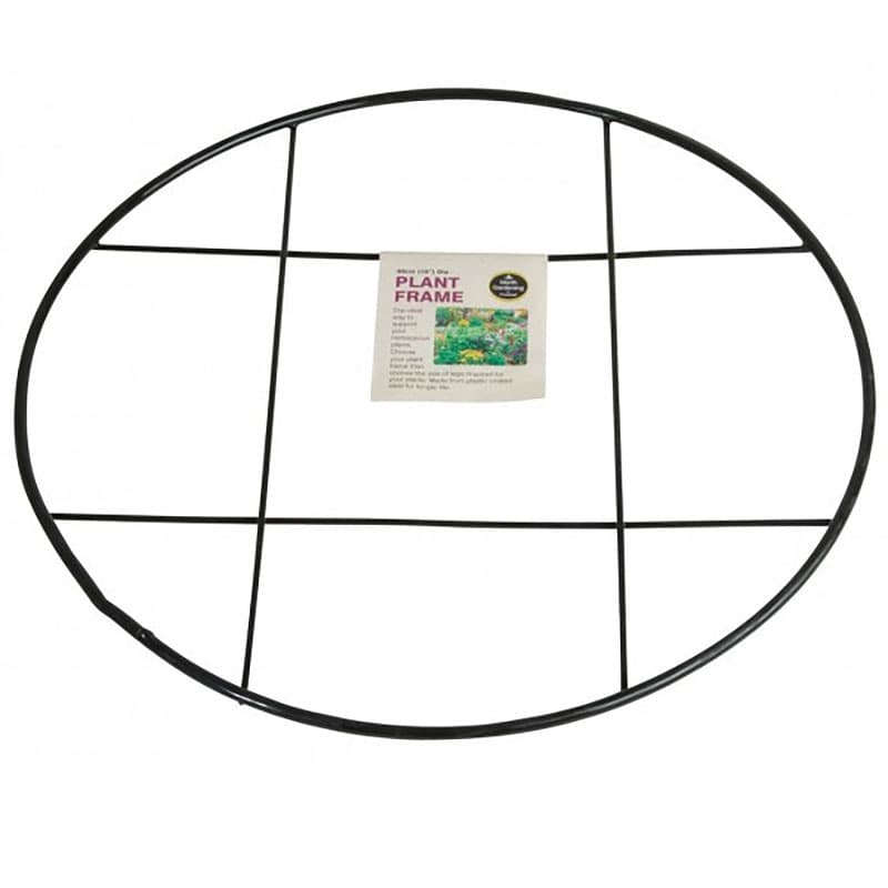 Växtstöd Plant frame, 30 cm, robust stöd för örtartade perenner, lång livslängd.