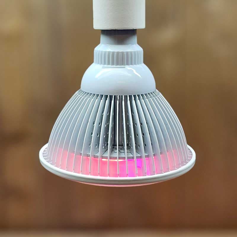 LED - White Beauty 20W, E27, 2160 lm, 12 dioder, 3500K, 660nm röd, 630nm röd, 450nm blå, 60° spridning.