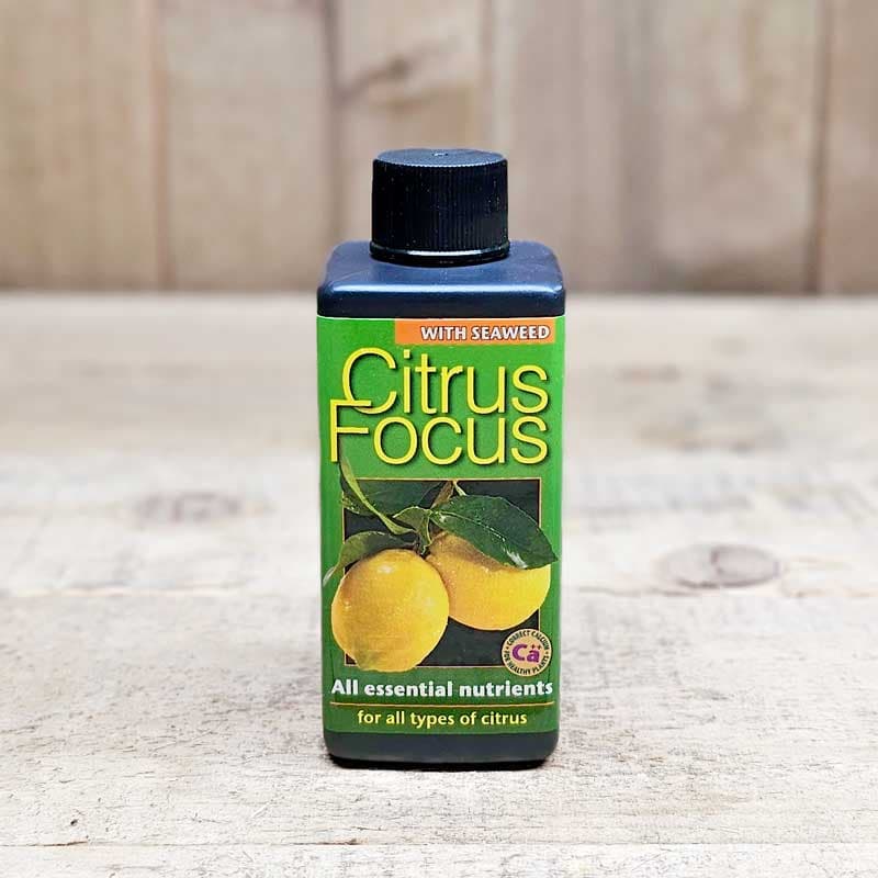 Citrusnäring Citrus Focus, 100 ml, NPK 2,3-1,2-3,8, räcker till flera månader, för citrusväxter.