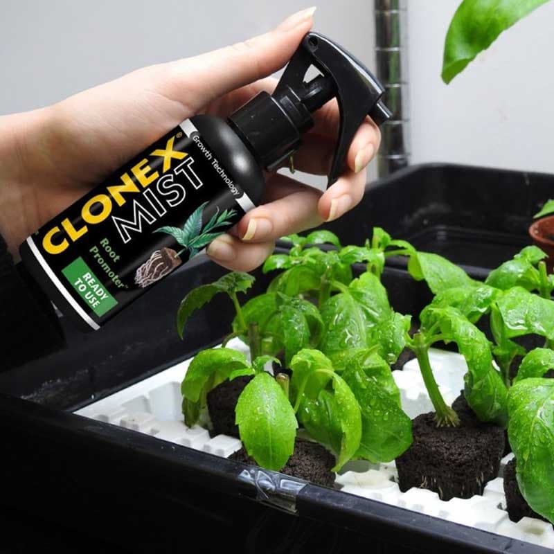 Clonex Mist, 100 ml, rotningsstimulerande, spray, naturligt innehåll, mineraler, aminosyror, kelp, enkel att använda.