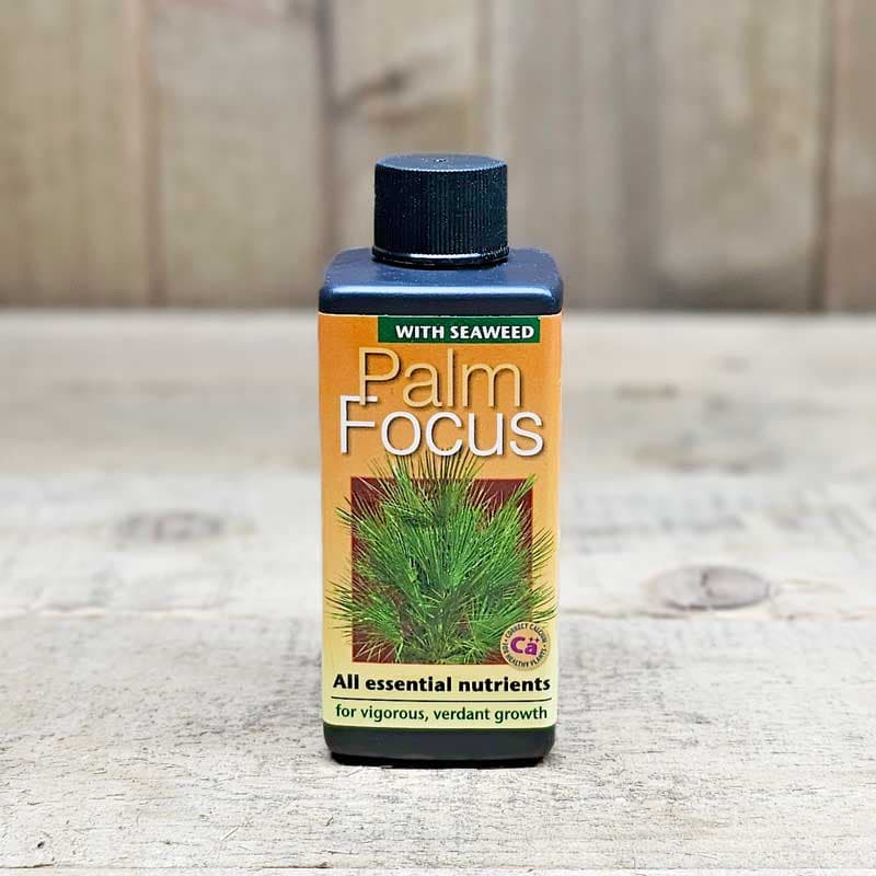 Palmnäring Palm Focus, 100 ml, koncentrat, NPK 2,1-0,9-3,6, späd 5 ml/l, räcker till 20 l.