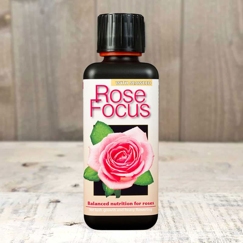 Rosnäring Rose Focus, flytande, koncentrat, NPK 2,0-1,1-3,6, spädning 10ml/l, räcker till 300 ml.