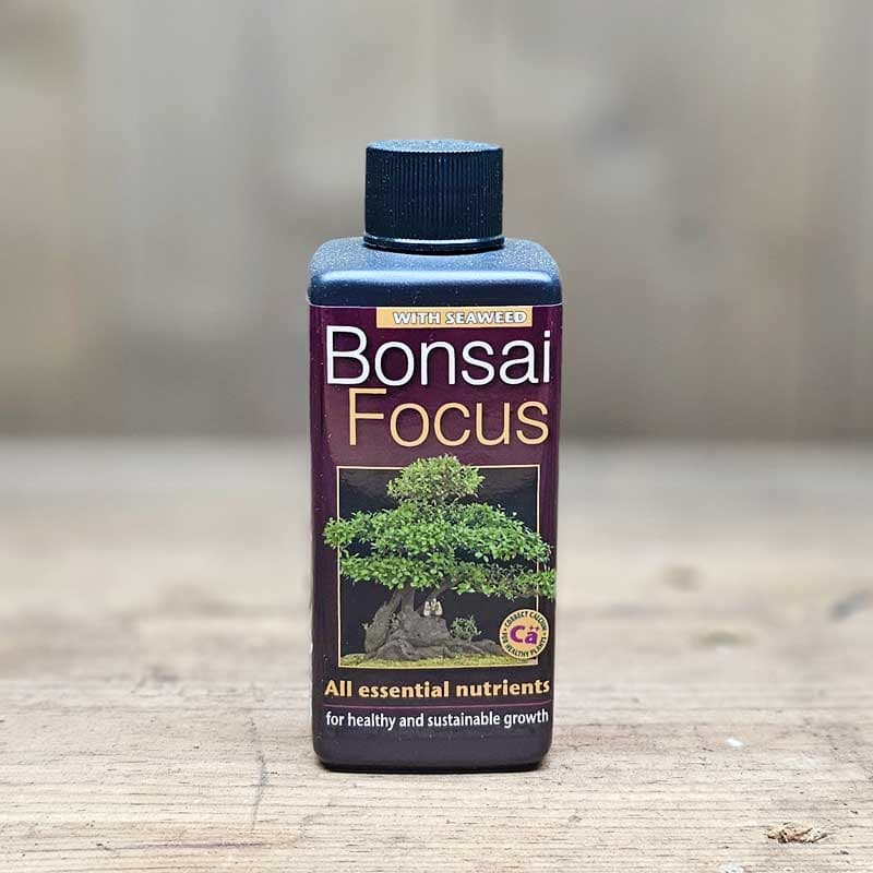 Bonsainäring Bonsai Focus, NPK 2.0-0.7-3.9, spädning 5ml/l, 100 ml, för bonsaiträd.