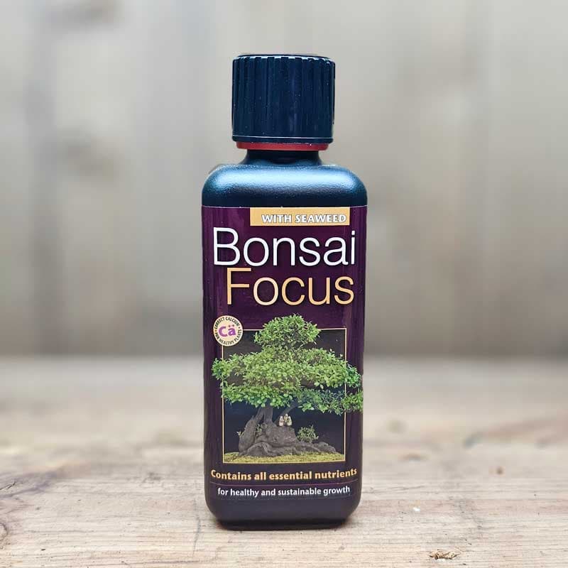 Bonsainäring Bonsai Focus, 300 mlNPK 2,0-0,7-3,9, spädning 5ml/l, användning mars-augusti.
