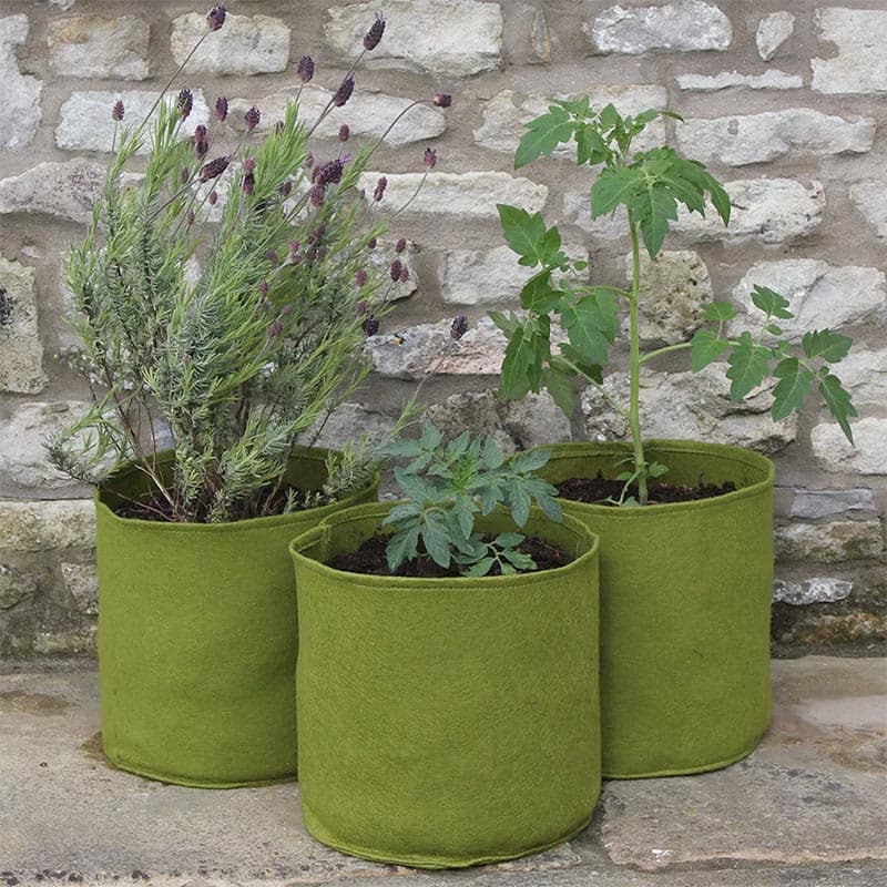 Odlingssäck Vigoroot 10L, 3-pack, 10 liter, 24 cm höjd, 24 cm diameter, återanvändbar, lätt, maskintvättbar.