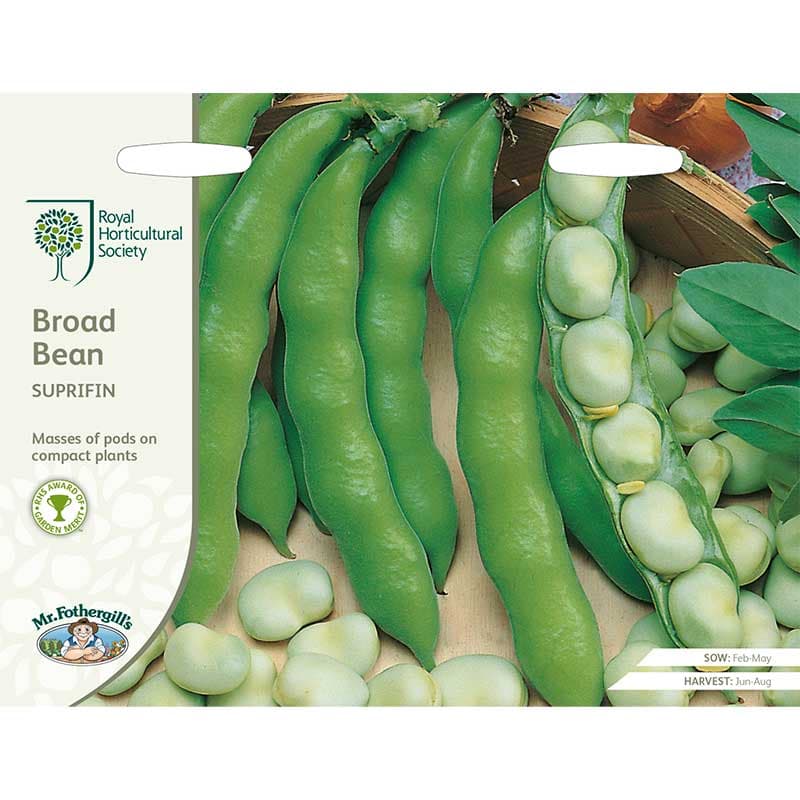 Bondböna 'Suprifin', buskiga plantor, soligt läge, lättodlad, ca 50 frön, AGM-belönad.