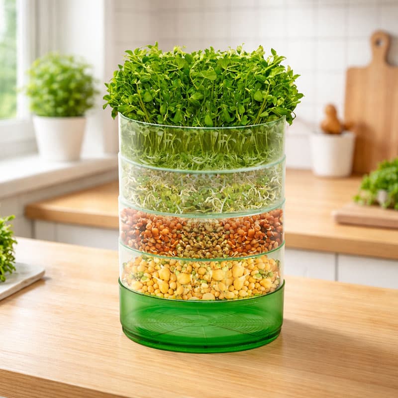 Groddbox, Kitchen Seed Sprouter, fyra genomskinliga brickor med dräneringshål