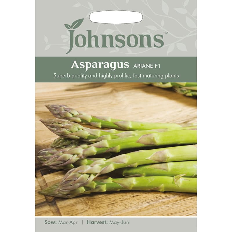 Sparris 'Ariane' F1, purpurfärgade knoppar, soligt läge, köksväxter, 10 frön, friland, skörd maj-juni.