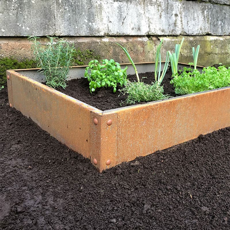 Odlingslåda cortenplåt 80x120x20 cm, färg: rost, höjd: 20 cm, material: stål, antal nivåer: 1, funktion: odling.