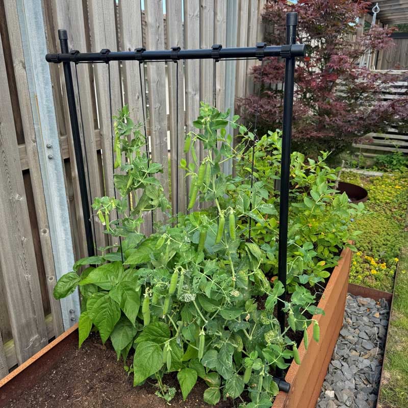 Ramspalje svart 150×80 cm, stålram polyesterlina väderbeständig H150 B80 svart