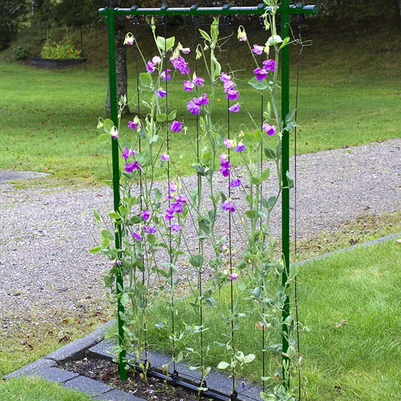 Ramspalje grön 150×80 cm, stålram polyesterlina väderbeständig H150 B80 grön