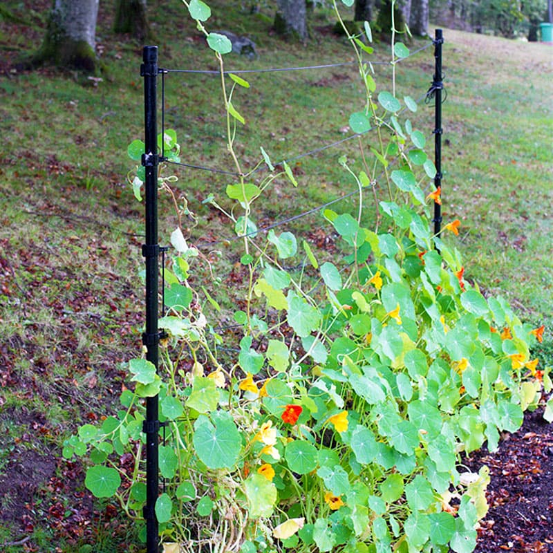 Trådspaljé, svart, höjd 150 cm, bredd 0-200 cm, galvaniserad stålplåt, UV-stabiliserad plast, svensktillverkat.