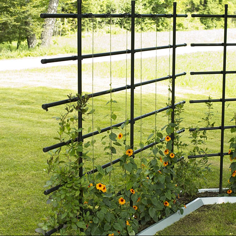 Växtspaljé svart 200×200 cm, stål UV-plast fristående/väggmontage H200 B200 svart