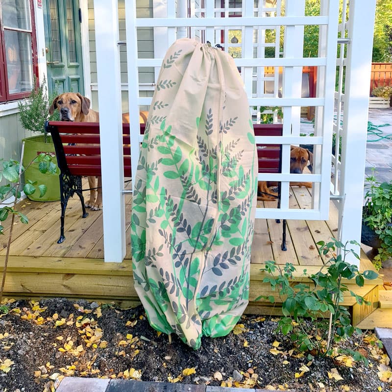 Basic Fleece Fern 150×70cm, 50g skyddshuva med dragkedja för mindre träd och buskar