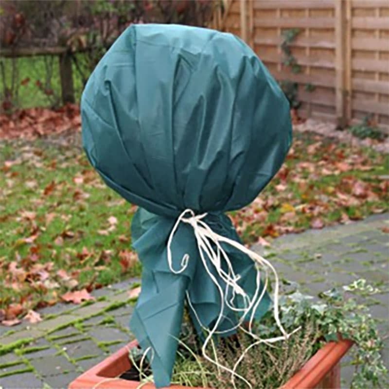 Fiberduk grön 150×500cm, kraftig 34g duk som skyddar vintergröna och känsliga växter