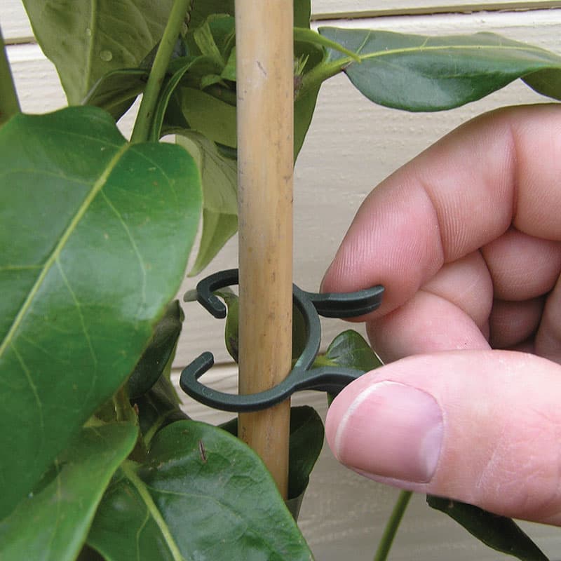 Plantclips, 30 små och 20 stora, fästa växter vid stöd, säker och enkel användning.