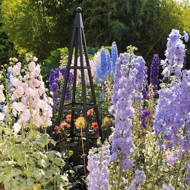 Växtstöd Pyramid svart, pulverlackerad, stabil, H211 B60, 10 års ramgaranti, enkel  montering.