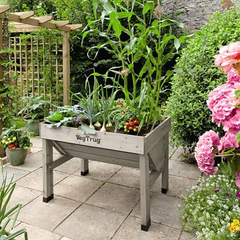 VegTrug Classic Small, askgrå, 103x75x80 cm, 210 liter jord, FSC-trä, ergonomisk, biologiskt nedbrytbart foder.