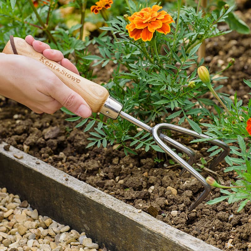 Handkultivator 3 Prong, 280 mm rostfritt stål med askhandtag för luckring