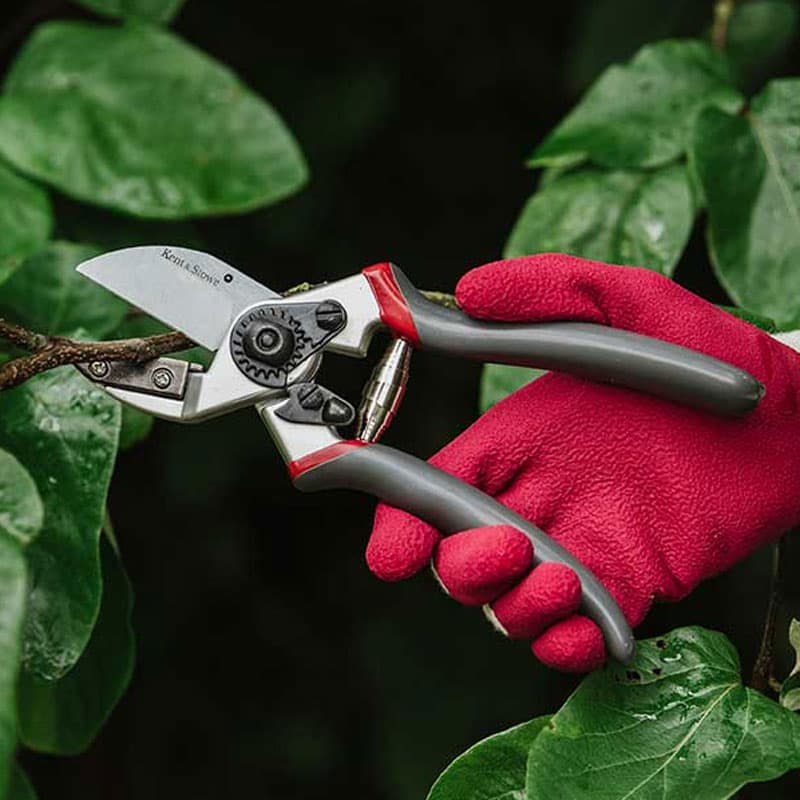 Professionell mothållssekatör 20 mm, alu-sekatör med starkt kolstålsblad