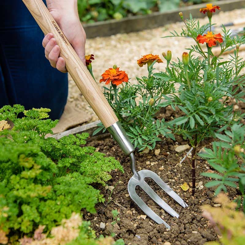 Plantergaffel kort skaft, rostfritt stål 580 mm askhandtag lätt att använda
